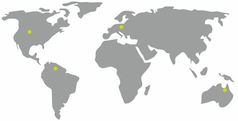 World map representing worldwide delivery of custom printed tissue paper